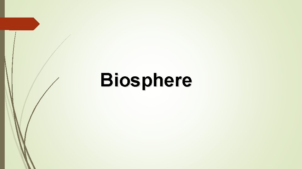 Biosphere 