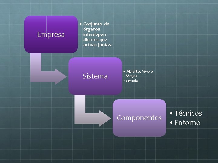 Empresa • Conjunto de órganos interdependientes que actúan juntos. Sistema • Abierto, Vivo o