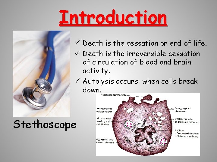 Introduction ü Death is the cessation or end of life. ü Death is the