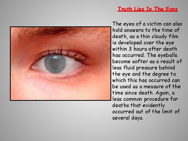 Truth Lies In The Eyes The eyes of a victim can also hold answers