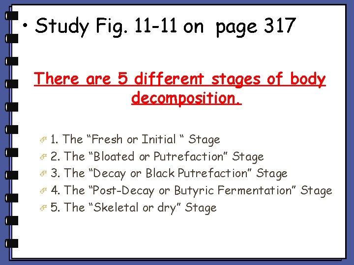  • Study Fig. 11 -11 on page 317 There are 5 different stages