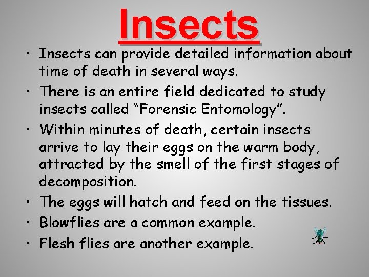 Insects • Insects can provide detailed information about time of death in several ways.