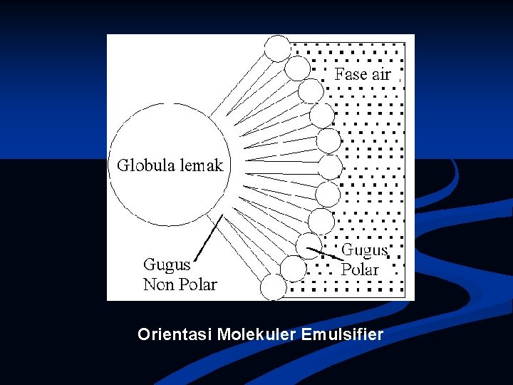 Orientasi Molekuler Emulsifier 