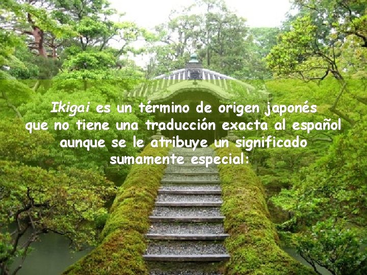 Ikigai es un término de origen japonés que no tiene una traducción exacta al