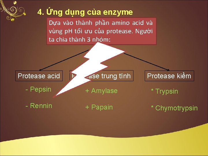 4. Ứng dụng của enzyme Dựa vào thành phần amino acid và vùng p.