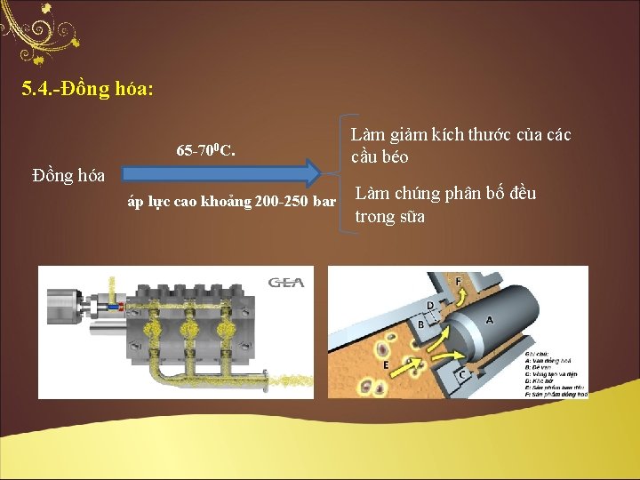 5. 4. -Đồng hóa: 65 -700 C. Đồng hóa áp lực cao khoảng 200