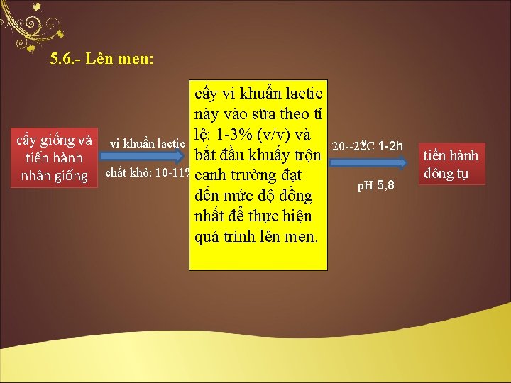 5. 6. - Lên men: cấy vi khuẩn lactic này vào sữa theo tỉ