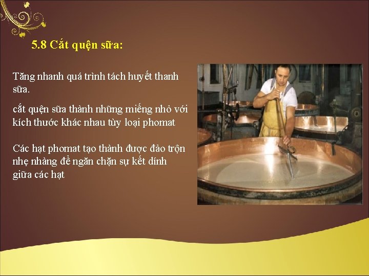 5. 8 Cắt quện sữa: Tăng nhanh quá trình tách huyết thanh sữa. cắt