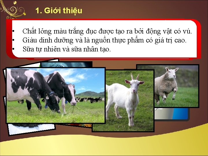 1. Giới thiệu • • Kỹ đóng một Chất lỏngthuật màuenzyme trắng đục được