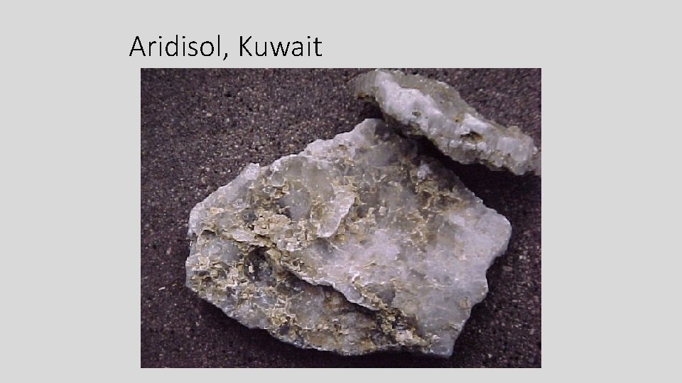 Aridisol, Kuwait 