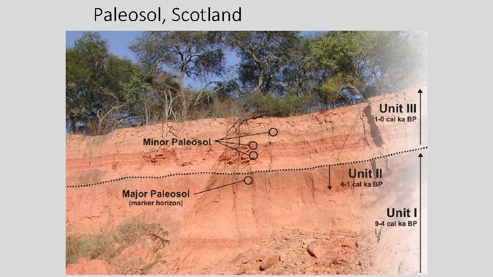 Paleosol, Scotland 