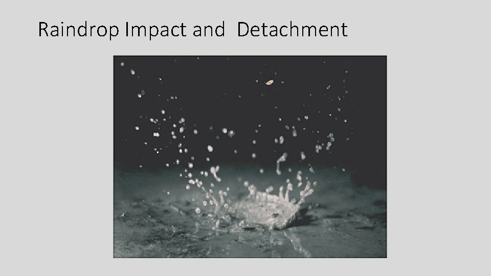 Raindrop Impact and Detachment 