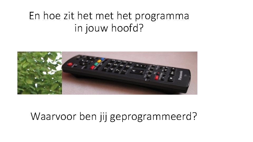 En hoe zit het met het programma in jouw hoofd? Waarvoor ben jij geprogrammeerd?