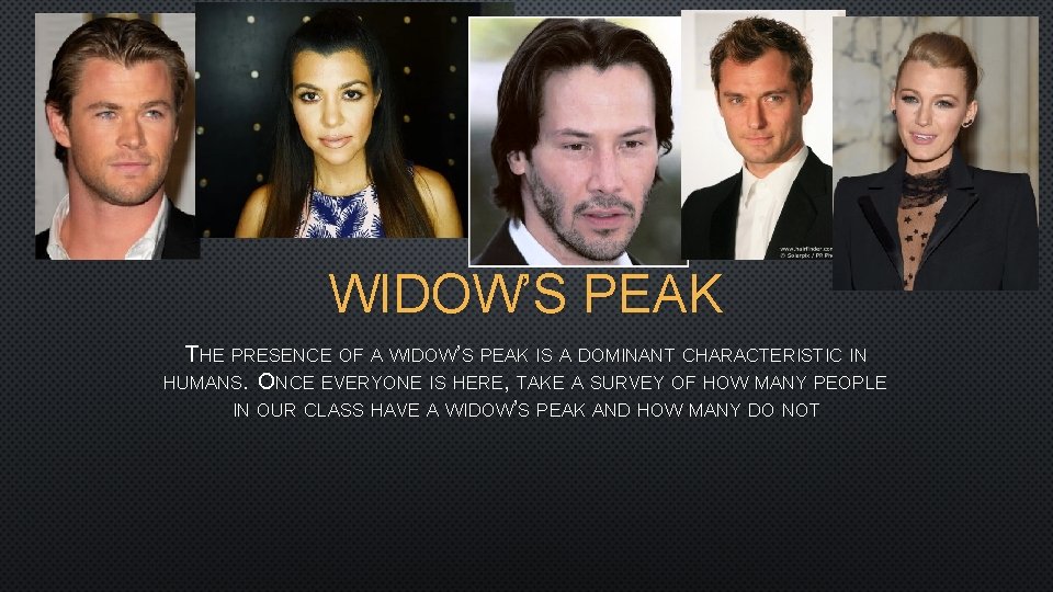 WIDOW’S PEAK THE PRESENCE OF A WIDOW’S PEAK IS A DOMINANT CHARACTERISTIC IN HUMANS.
