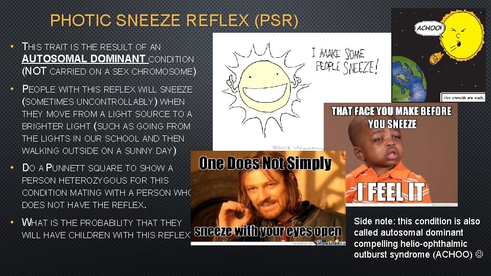 PHOTIC SNEEZE REFLEX (PSR) • THIS TRAIT IS THE RESULT OF AN AUTOSOMAL DOMINANT