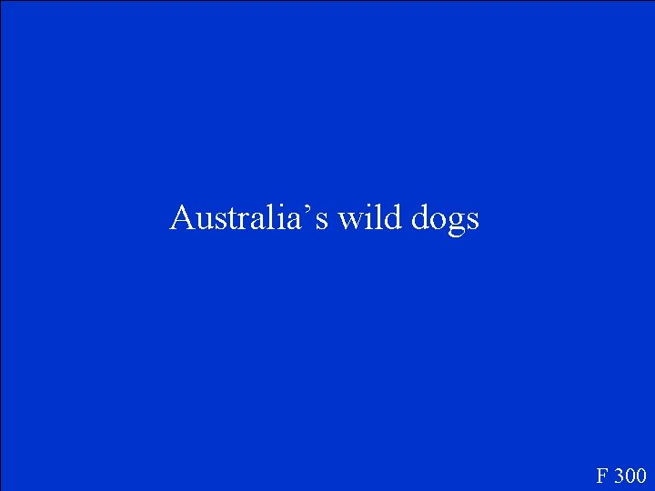Australia’s wild dogs F 300 