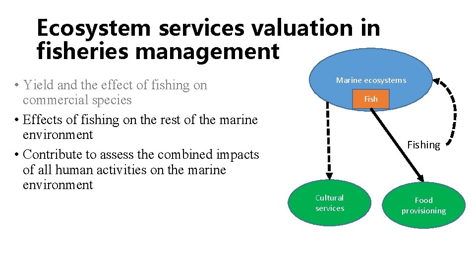 Ecosystem services valuation in fisheries management • Yield and the effect of fishing on