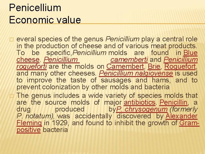 Penicellium Economic value � � everal species of the genus Penicillium play a central