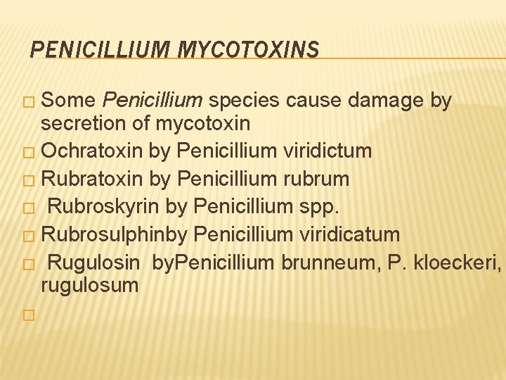 PENICILLIUM MYCOTOXINS � Some Penicillium species cause damage by secretion of mycotoxin � Ochratoxin