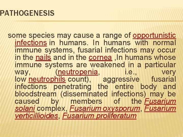 PATHOGENESIS some species may cause a range of opportunistic infections in humans. In humans