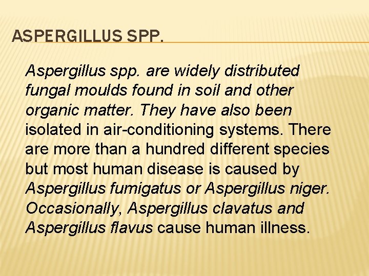 ASPERGILLUS SPP. Aspergillus spp. are widely distributed fungal moulds found in soil and other