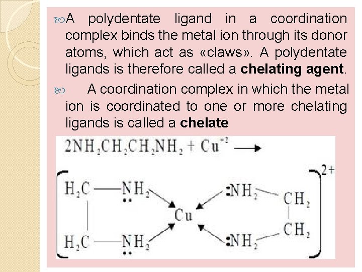  A polydentate ligand in a coordination complex binds the metal ion through its