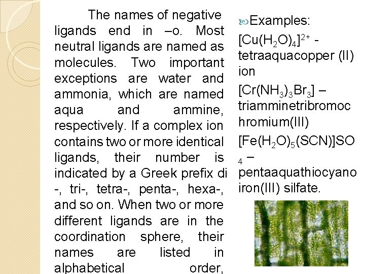 The names of negative ligands end in –o. Most neutral ligands are named as