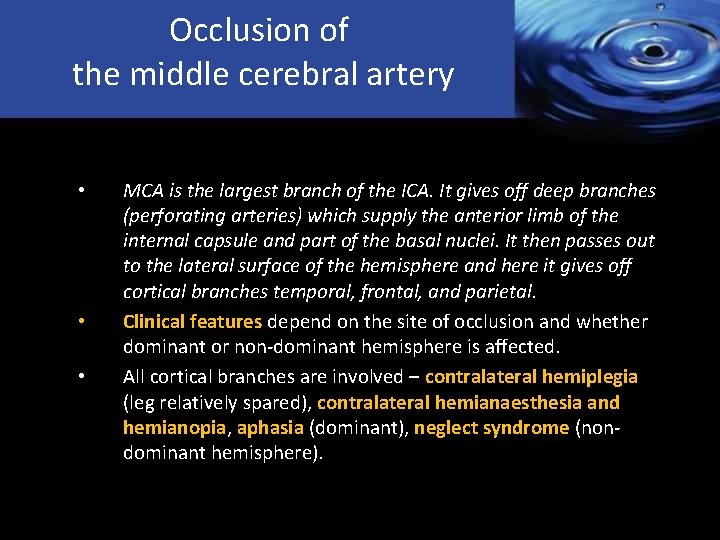 Occlusion of the middle cerebral artery • • • MCA is the largest branch