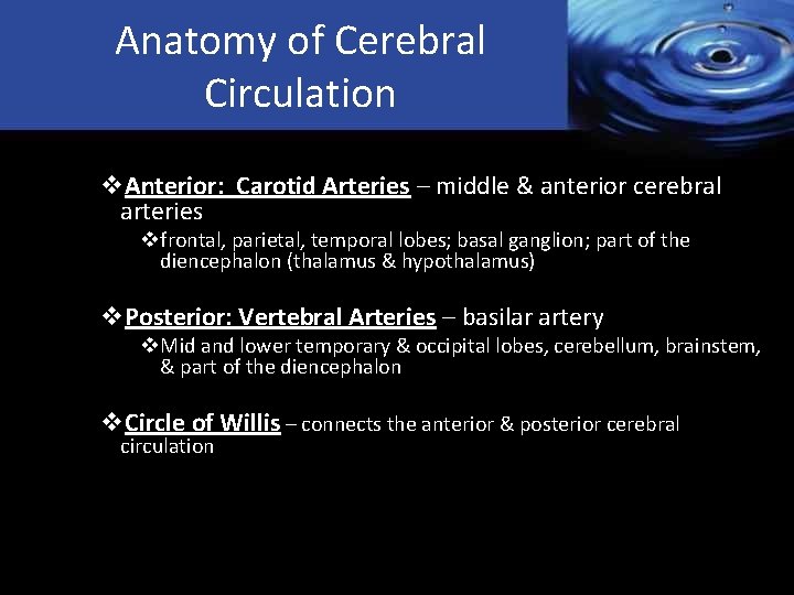 Anatomy of Cerebral Circulation v. Blood Supply v. Anterior: Carotid Arteries – middle &