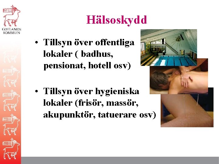 Hälsoskydd • Tillsyn över offentliga lokaler ( badhus, pensionat, hotell osv) • Tillsyn över
