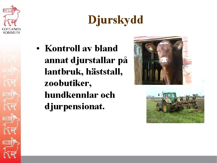 Djurskydd • Kontroll av bland annat djurstallar på lantbruk, häststall, zoobutiker, hundkennlar och djurpensionat.