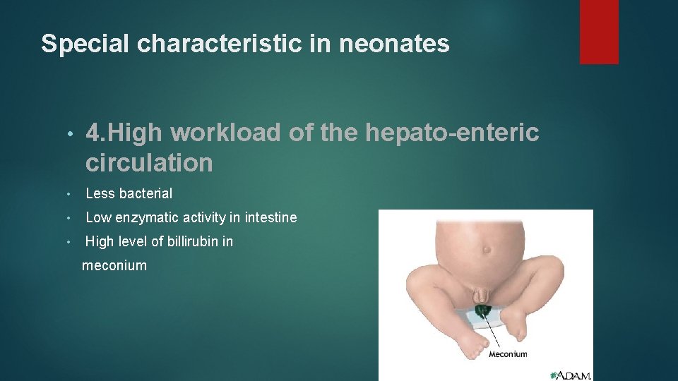 Special characteristic in neonates • 4. High workload of the hepato-enteric circulation • Less