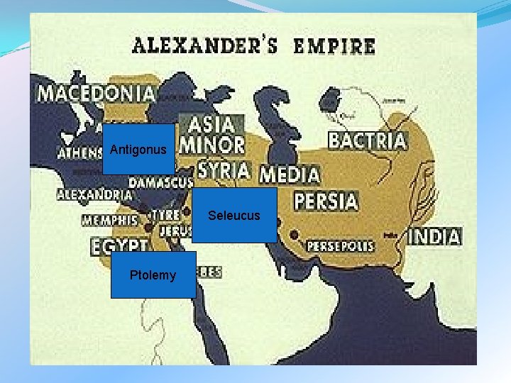 Antigonus Seleucus Ptolemy 