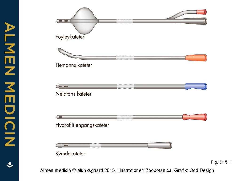 Fig. 3. 15. 1 Almen medicin © Munksgaard 2015. Illustrationer: Zoobotanica. Grafik: Odd Design