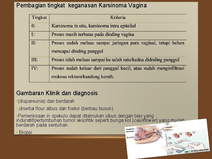 Pembagian tingkat keganasan Karsinoma Vagina Gambaran Klinik dan diagnosis • (dispareunia) dan berdarah •