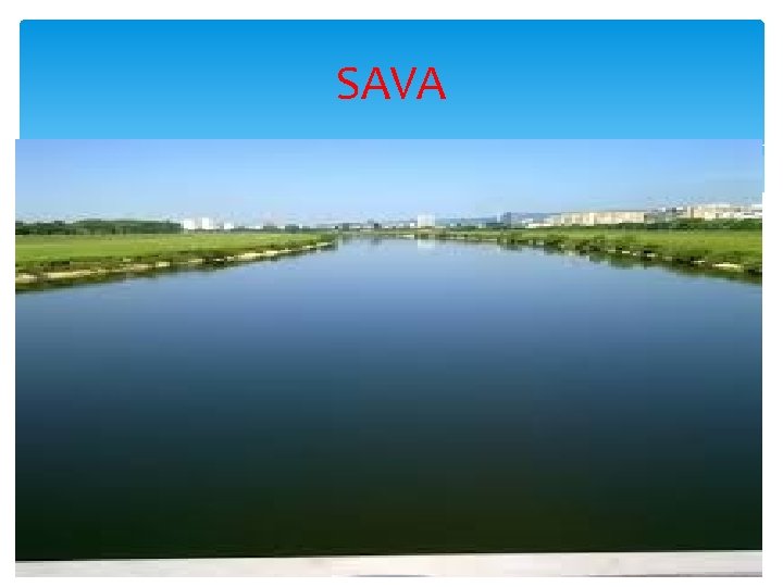 SAVA 