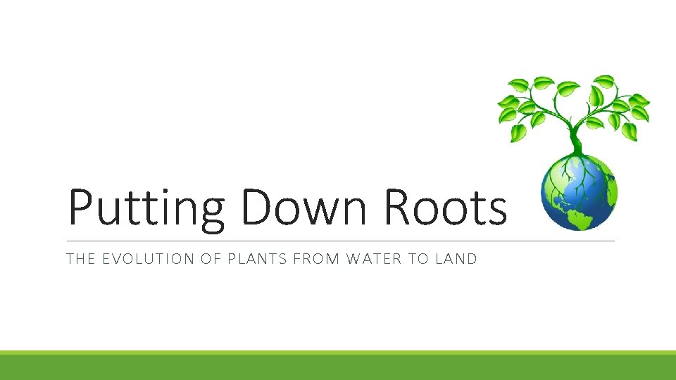 Putting Down Roots THE EVOLUTION OF PLANTS FROM WATER TO LAND 