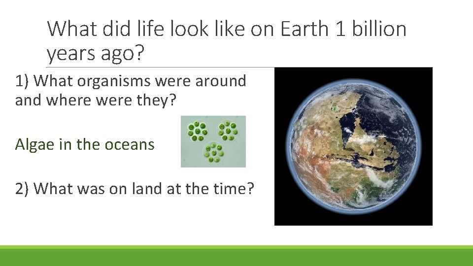 What did life look like on Earth 1 billion years ago? 1) What organisms