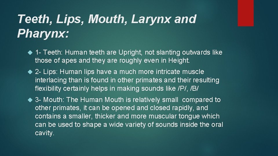 Teeth, Lips, Mouth, Larynx and Pharynx: 1 - Teeth: Human teeth are Upright, not