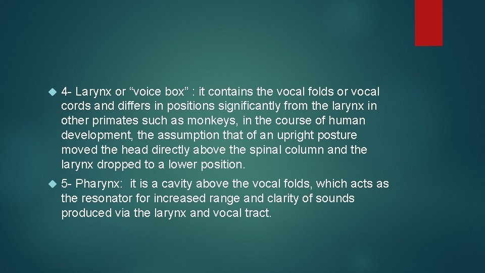  4 - Larynx or “voice box” : it contains the vocal folds or