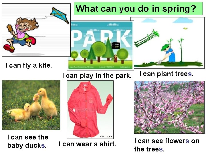 What can you do in spring? I can fly a kite. I can play
