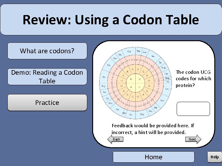Codum Table Genetic Mutations Review Using a Codon Table What