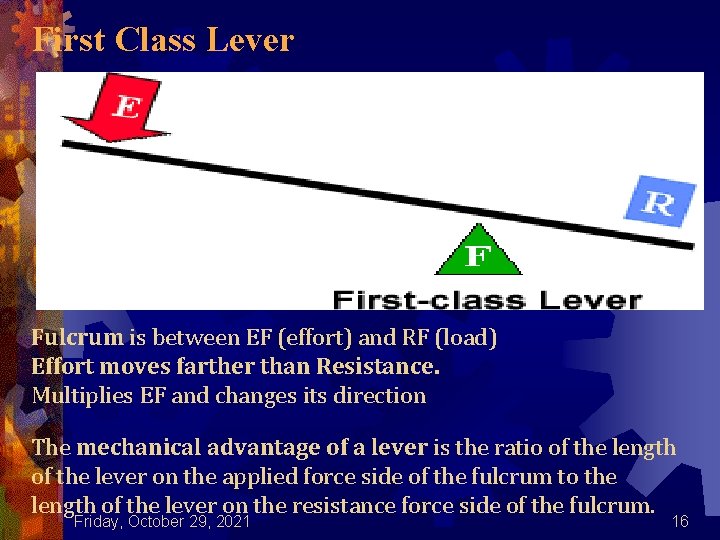 First Class Lever Fulcrum is between EF (effort) and RF (load) Effort moves farther