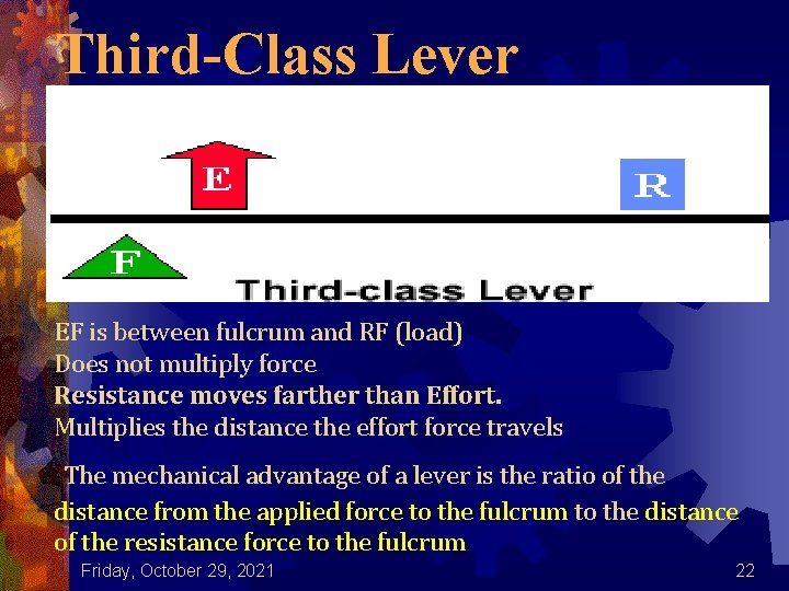 Third-Class Lever EF is between fulcrum and RF (load) Does not multiply force Resistance