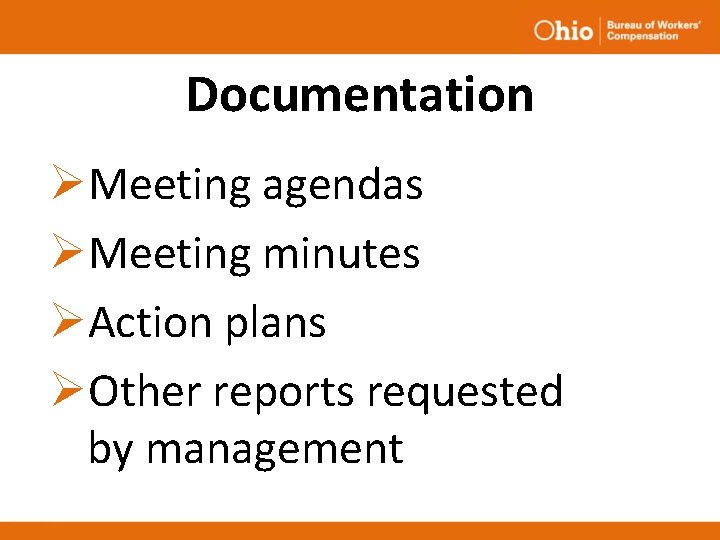 Documentation ØMeeting agendas ØMeeting minutes ØAction plans ØOther reports requested by management Documentation ØMeeting agendas ØMeeting minutes ØAction plans ØOther reports requested by management