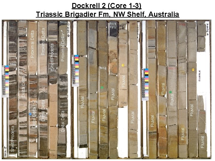 Fluvial Fluvial Fluvial Distal Delta Shelf/Prodelta Proximal Delta Dockrell 2 (Core 1 -3) Triassic