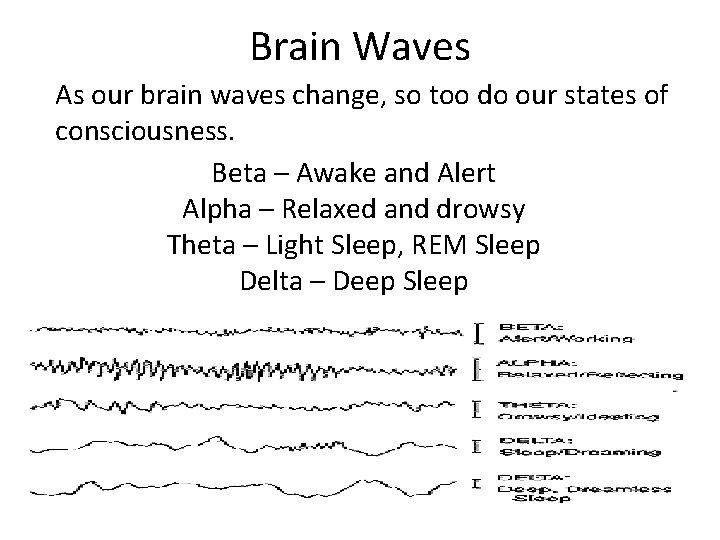 Brain Waves As our brain waves change, so too do our states of consciousness.