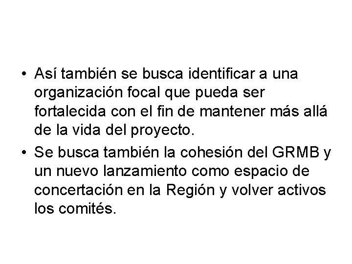  • Así también se busca identificar a una organización focal que pueda ser