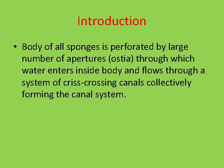 Introduction • Body of all sponges is perforated by large number of apertures (ostia)