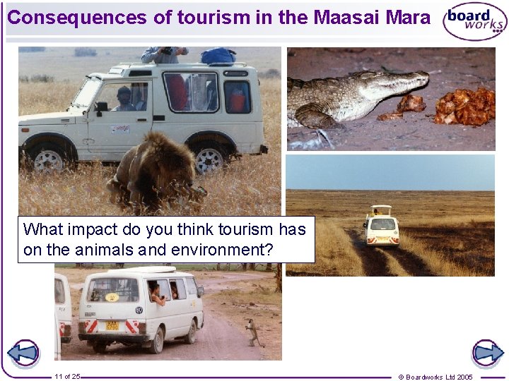 Consequences of tourism in the Maasai Mara What impact do you think tourism has